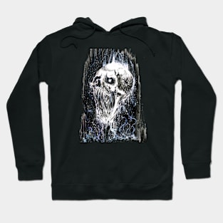 skull Hoodie